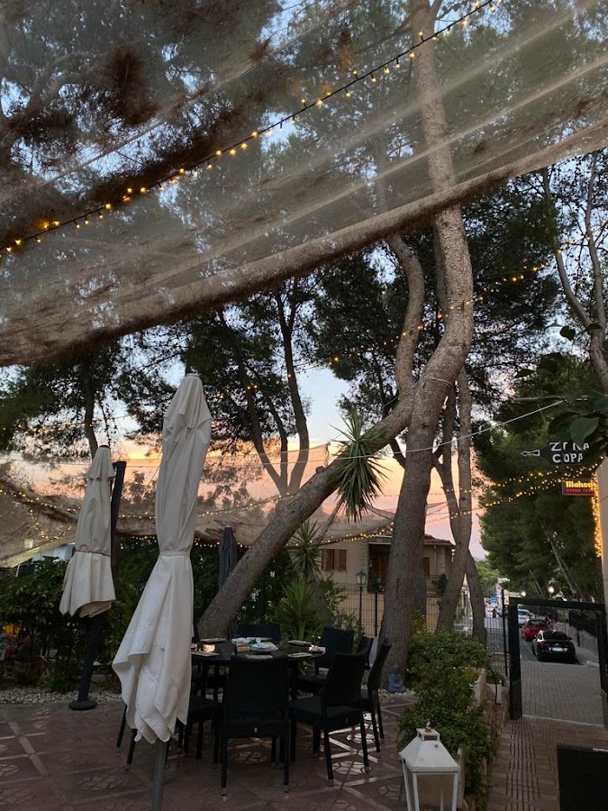 Restaurantes en la Romana provincia de Alicante/Alacant